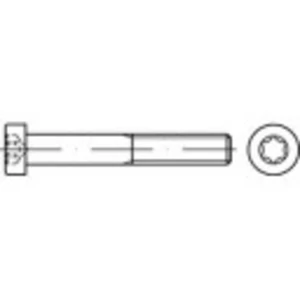 Skrutky s valcovou hlavou TOOLCRAFT, T profil, DIN 7984, M 4 x 6 mm, 08.8, gal. Zn, 500 ks