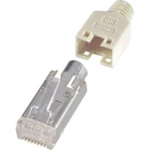 Zástrčka, rovná Renkforce H9540.1-10, RJ45 H9540.1-10, počet pólů: 8P8C, béžová, 10 ks