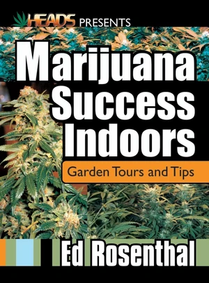 Marijuana Success Indoors