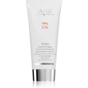 Apis Natural Cosmetics Professional čistiaca pleťová maska 200 ml