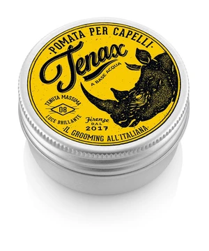 Tenax Strong Hold Pomade - stredne silná cestovná pomáda (25 ml)