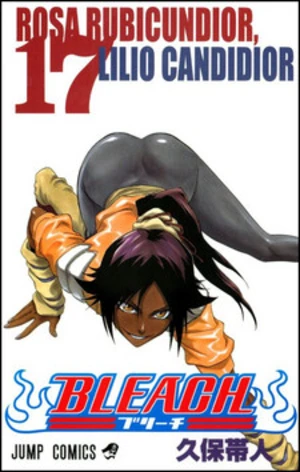 Bleach 17 - Tite Kubo