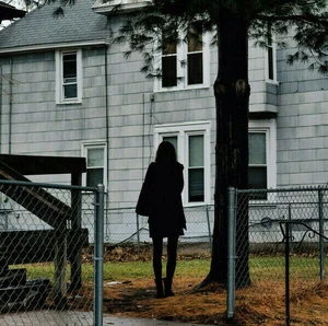 The Tallest Man On Earth - Dark Bird Is Home (LP)