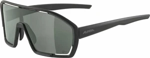 Alpina Bonfire Q-Lite Black Matt/Silver Fahrradbrille