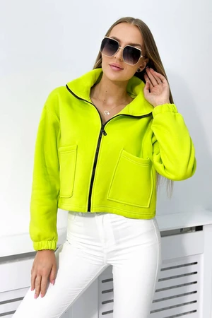 Cotton insulated sweatshirt with kiwi zipper