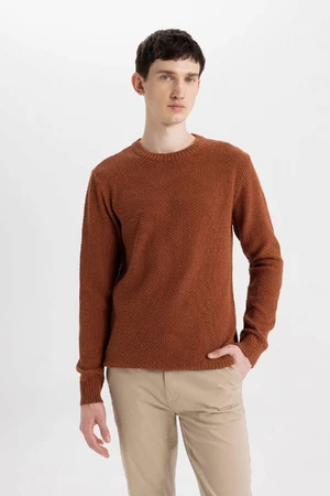 DEFACTO Men's Dark Orange Standard Fit Regular Cut Crew Neck Textured Basic Knitwear Sweater