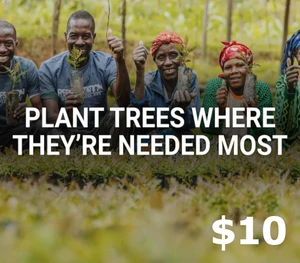 Plant trees where needed most $10 Gift Card US