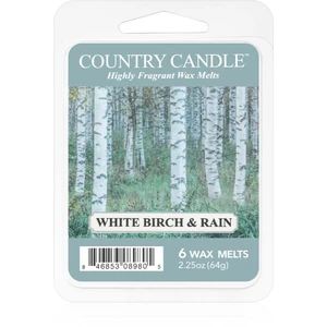 Country Candle White Birch & Rain vosk do aromalampy 64 g