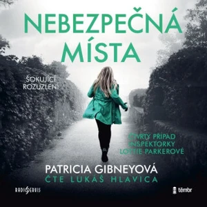 Nebezpečná místa - Patricia Gibneyová - audiokniha