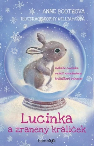 Lucinka a zraněný králíček - Boothová Anne