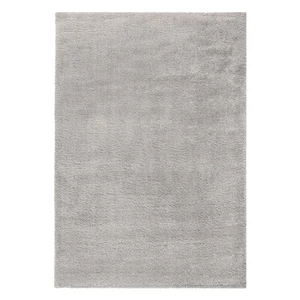 Jasnoszary dywan 80x150 cm – Flair Rugs