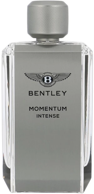 BENTLEY Momentum Intense Eau De Parfum 100 ml