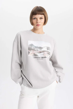 DEFACTO Oversize Fit Crew Neck Thick Sweatshirt Fabric Sweatshirt