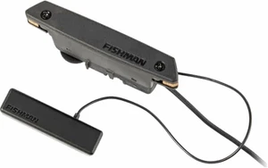 Fishman PowerTap Earth Black Micro guitare acoustique