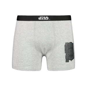 Men's boxer Star Wars - Frogies