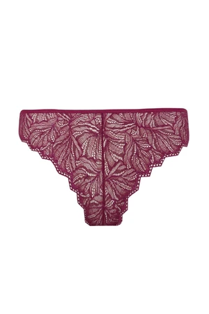 DEFACTO Fall In Love Lace Brazilian Panties