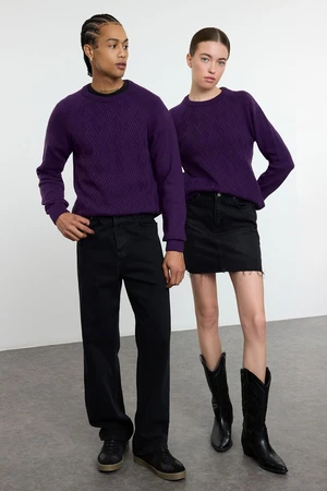 Trendyol Purple Unisex Slim Woolen Crew Neck Textured Knitwear Sweater