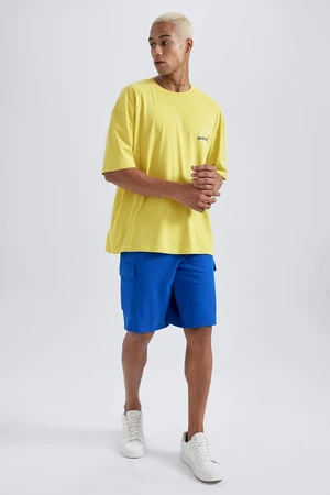 DEFACTO Standard Fit Short