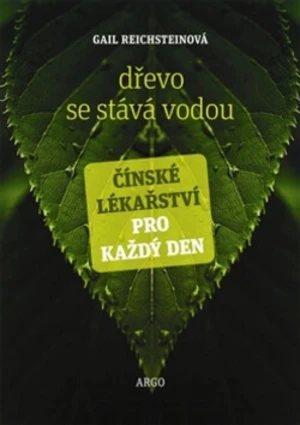 Dřevo se stává vodou - Gail Reichsteinová