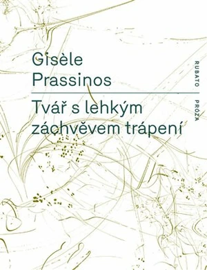 Tvář s lehkým záchvěvem trápení - Gisele Prassinos