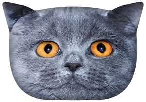 Bertoni Home Unisex's Travel Cat Pillow With Rubber Leon