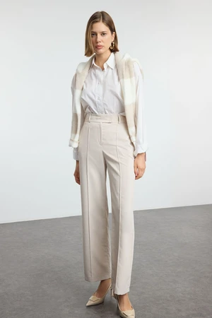 Trendyol Beige Wide Leg High Waist Woven Trousers