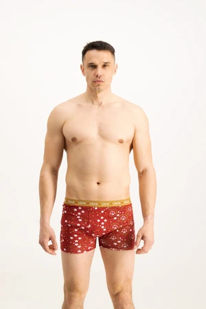 Men's boxers Frogies Zodiac Waga