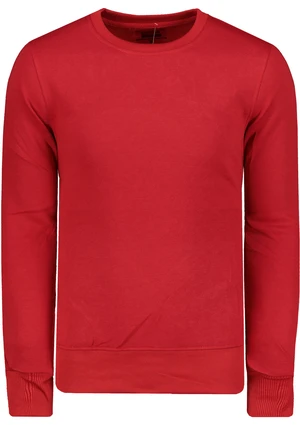 Edoti Men's sweatshirt B874