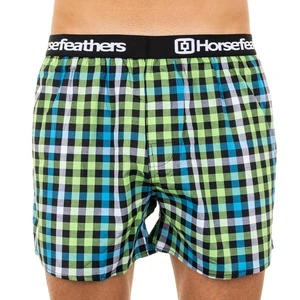 Men's shorts Horsefeathers Clay kiwi