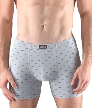 Men's boxers Gino gray