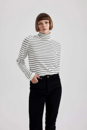 DEFACTO Regular Fit Turtleneck Pullover