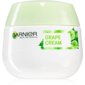 Garnier Botanical hydratačný krém pre normálnu až zmiešanú pleť 50 ml