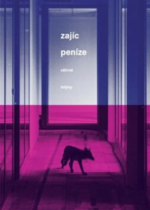 Peníze - Pavel Zajíc