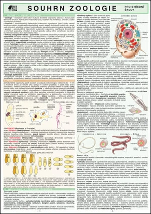 SOUHRN ZOOLOGIE pro SŠ A4