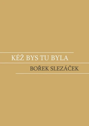 Kéž bys tu byla - Bořek Slezáček