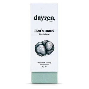 DAYZEN Lion's mane 30 ml