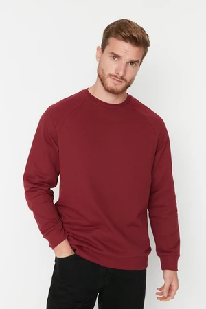 T-shirt da uomo  Trendyol Raglan