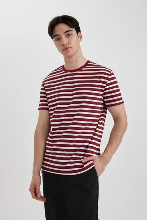 DEFACTO Regular Fit Crew Neck Striped Top