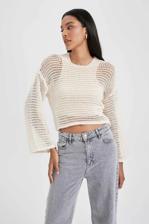 DEFACTO Relax Fit Crew Neck Knitted Sweater