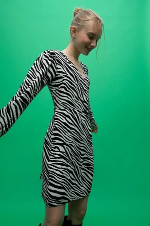 DEFACTO A-Line V-Neck Zebra Print Long Sleeve Mini Dress