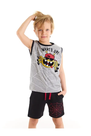 Denokids Spider Boy T-shirt Shorts Set