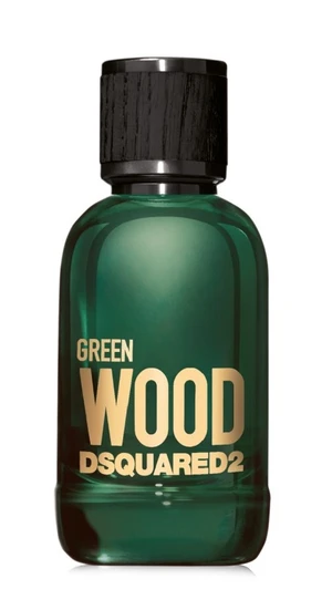 DSQUARED2 Green Wood toaletní voda pro muže 30 ml