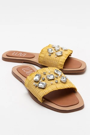 LuviShoes NORVE Women's Yellow Straw Stone Slippers