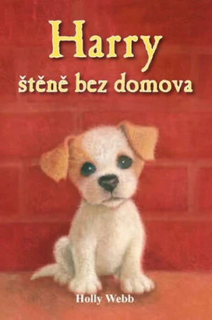 Harry, štěně bez domova - Sophy Williams, Holly Webb