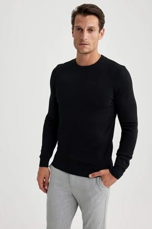 DEFACTO Regular Fit Crew Neck Pullover