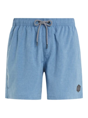 Men's beach shorts Protest DAVEY