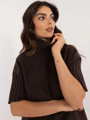 Dark brown turtleneck sweater