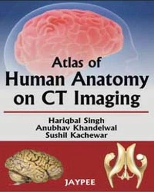 Atlas Of Human Anatomy On CT Imaging