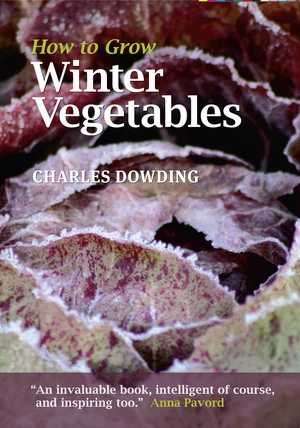 How to Grow Winter Vegetables