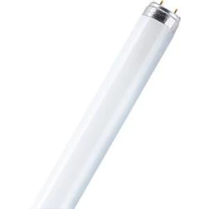 Zářivka Osram, 58 W, G13, 1500 mm, studená bílá